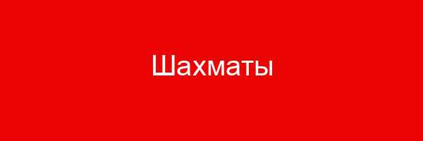 Шахматы