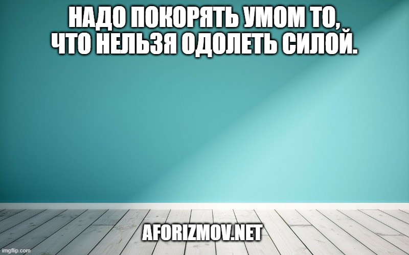 Надо покорять умом то, что нельзя одолеть силой.