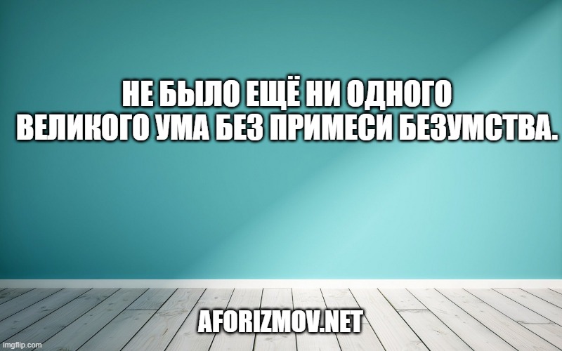 Не было ещё ни одного великого ума без примеси безумства.