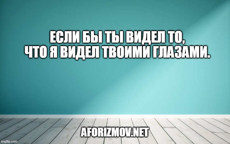 Если бы ты видел то, что я видел твоими глазами.