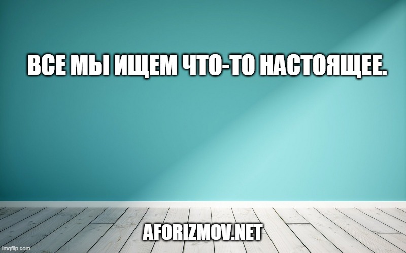 Все мы ищем что-то настоящее.