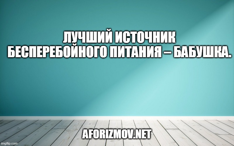 Лучший источник бесперебойного питания – бабушка.
