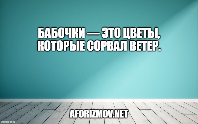 Бабочки — это цветы, которые сорвал ветер.