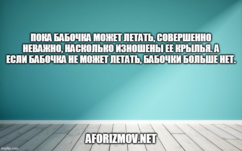 Пока бабочка может летать, совершенно неважно, насколько изношены ее крылья. А если бабочка не может летать, бабочки больше нет.