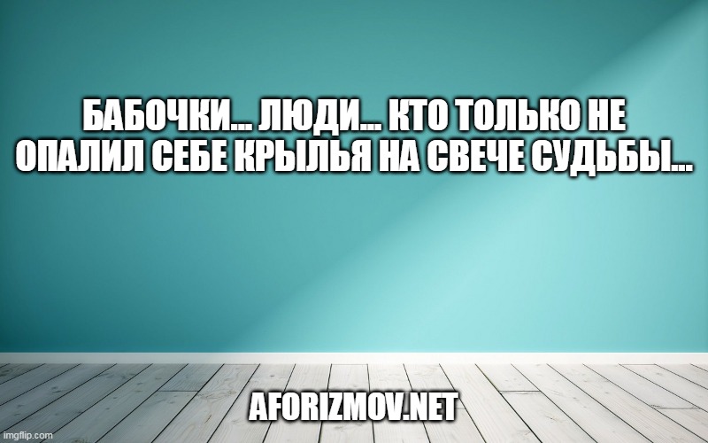 Бабочки... Люди... Кто только не опалил себе крылья на свече судьбы...