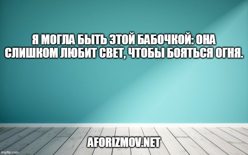 Я могла быть этой бабочкой: она слишком любит свет, чтобы бояться огня.