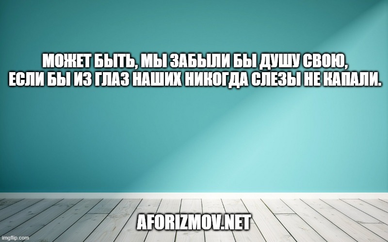 Может быть, мы забыли бы душу свою, если бы из глаз наших никогда слезы не капали.