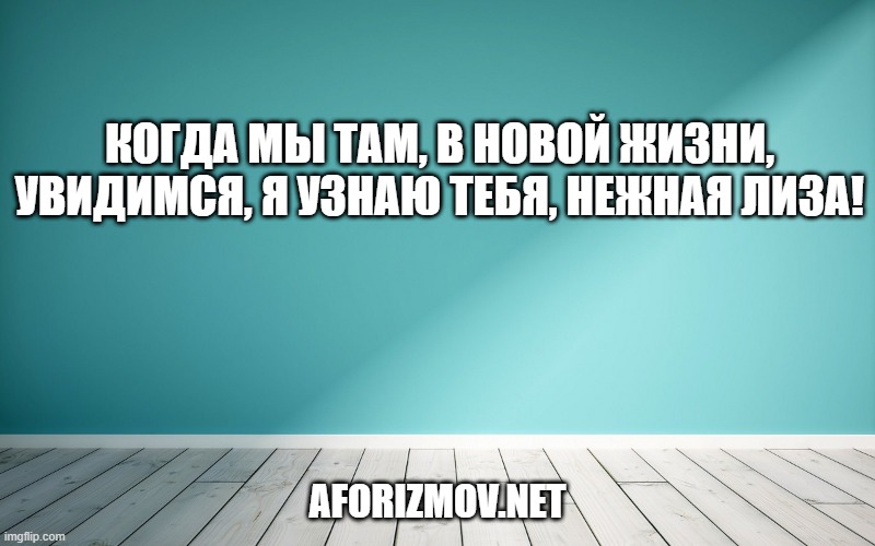 Когда мы там, в новой жизни, увидимся, я узнаю тебя, нежная Лиза!