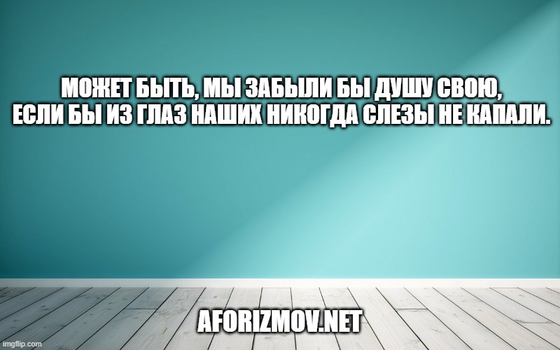 Может быть, мы забыли бы душу свою, если бы из глаз наших никогда слезы не капали.