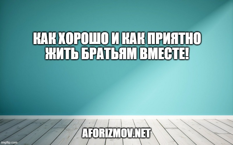 Как хорошо и как приятно жить братьям вместе!