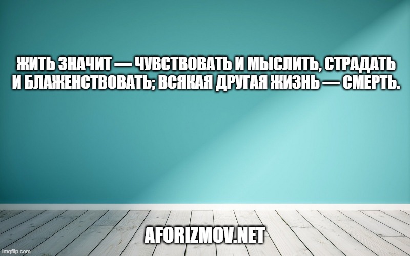 Жить значит — чувствовать и мыслить, страдать и блаженствовать; всякая другая жизнь — смерть.