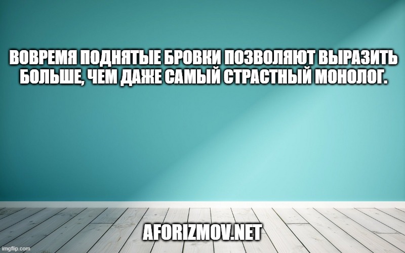 Вовремя поднятые бровки позволяют выразить больше, чем даже самый страстный монолог.
