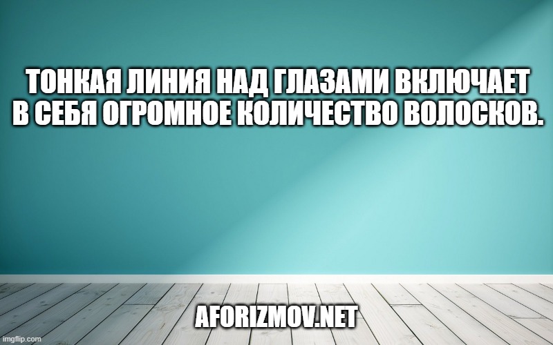 Тонкая линия над глазами включает в себя огромное количество волосков.