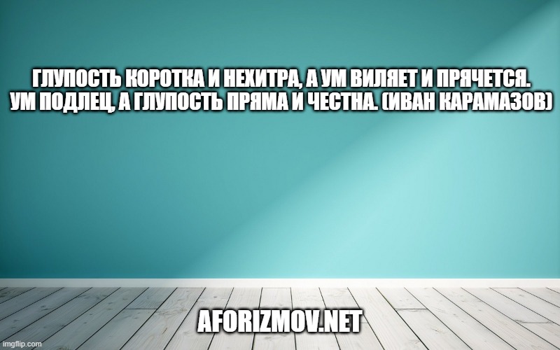Глупость коротка и нехитра, а ум виляет и прячется. Ум подлец, а глупость пряма и честна. (Иван Карамазов)
