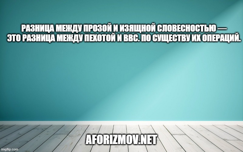 Разница между прозой и изящной словесностью — это разница между пехотой и ВВС. По существу их операций.