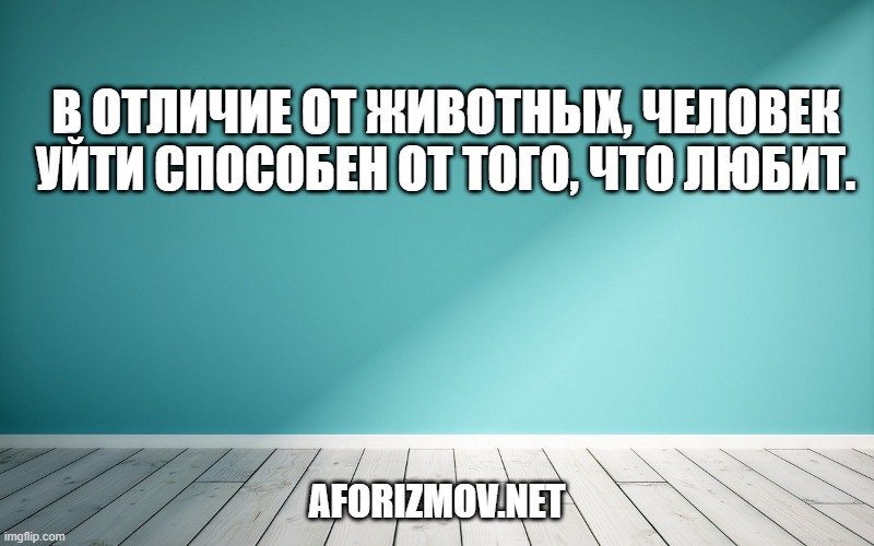 В отличие от животных, человек уйти способен от того, что любит.