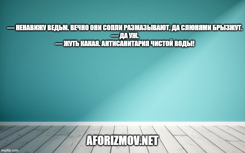 — Ненавижу ведьм. Вечно они сопли размазывают, да слюнями брызжут. — Да уж. — Жуть какая. Антисанитария чистой воды!