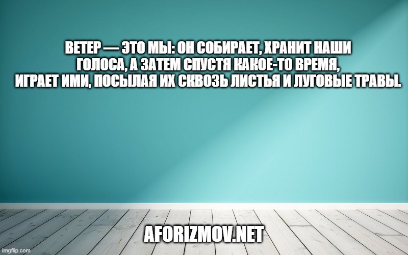 Ветер — это мы: он собирает, хранит наши голоса, а затем спустя какое-то время, играет ими, посылая их сквозь листья и луговые травы.