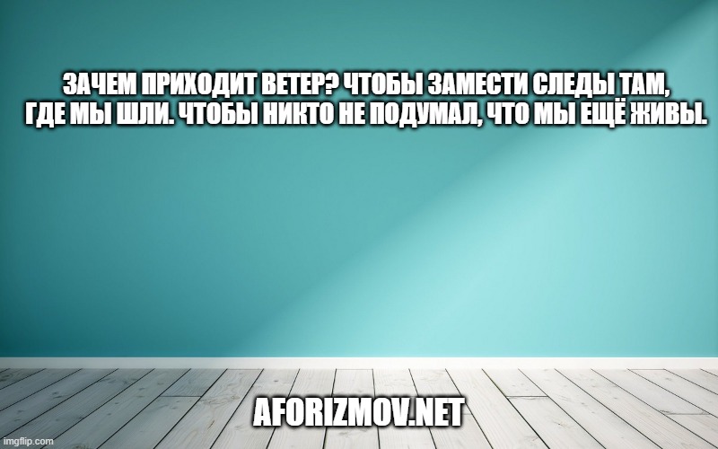Зачем приходит ветер? Чтобы замести следы там, где мы шли. Чтобы никто не подумал, что мы ещё живы.