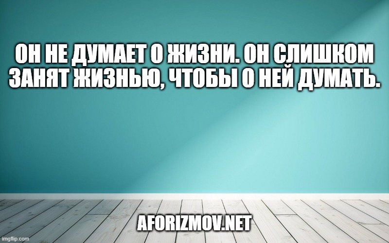 Он не думает о жизни. Он слишком занят жизнью, чтобы о ней думать.