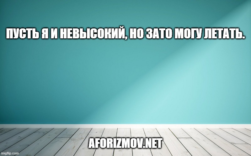 Пусть я и невысокий, но зато могу летать.