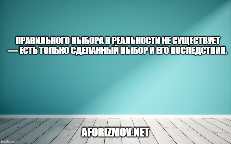 Правильного выбора в реальности не существует — есть только сделанный выбор и его последствия.