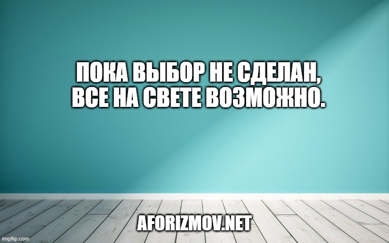 Пока выбор не сделан, все на свете возможно.