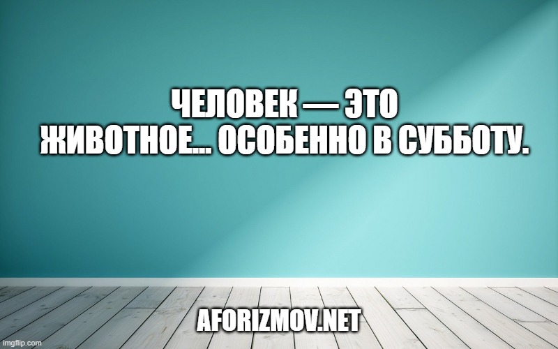 Человек — это животное... особенно в субботу.