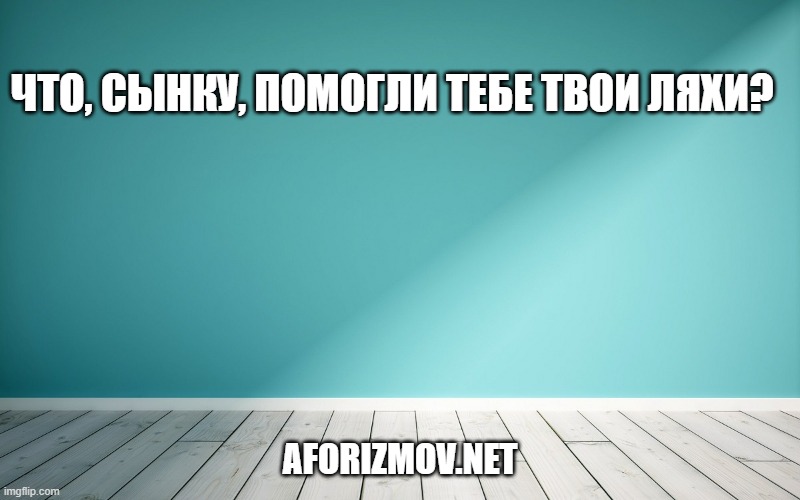 Что, сынку, помогли тебе твои ляхи?
