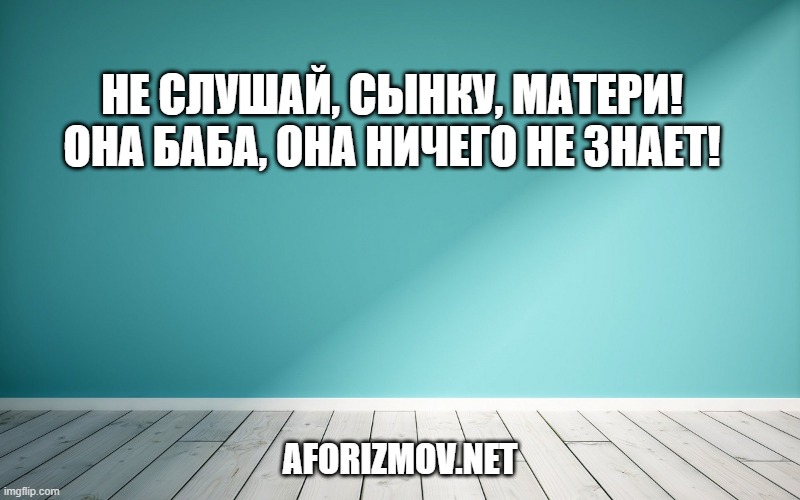 Не слушай, сынку, матери! Она баба, она ничего не знает!