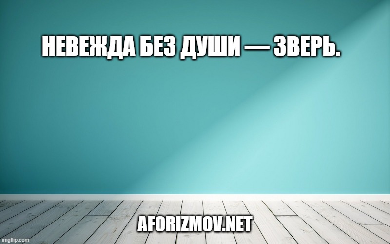 Невежда без души — зверь.