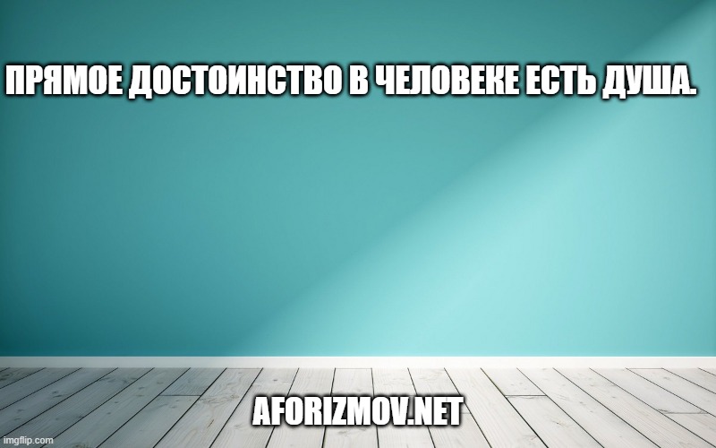 Прямое достоинство в человеке есть душа.