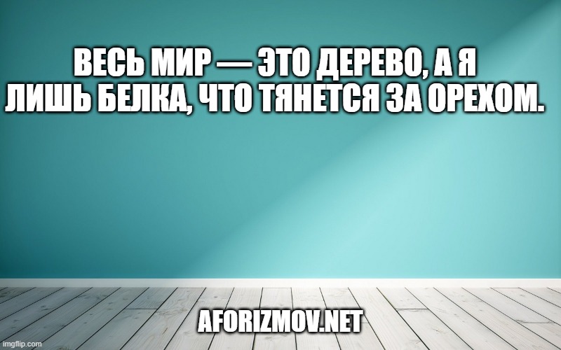 Весь мир — это дерево, а я лишь белка, что тянется за орехом.