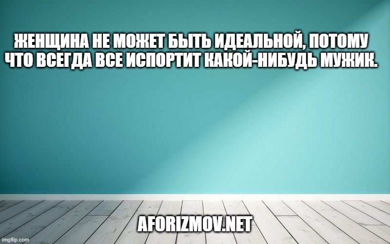 Женщина не может быть идеальной, потому что всегда все испортит какой-нибудь мужик.