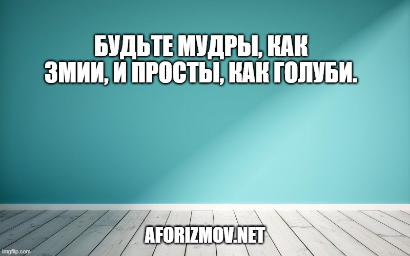 Будьте мудры, как змии, и просты, как голуби.