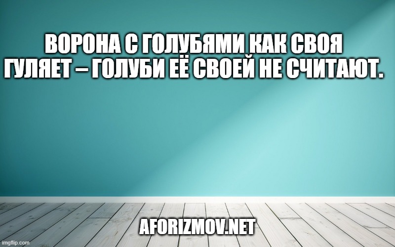 Ворона с голубями как своя гуляет – голуби её своей не считают.