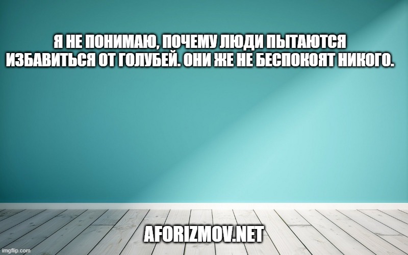 Я не понимаю, почему люди пытаются избавиться от голубей. Они же не беспокоят никого.