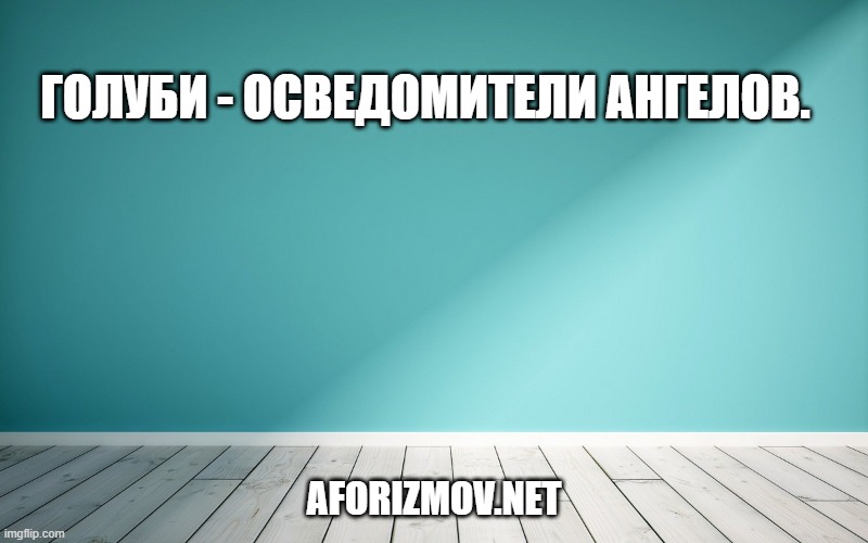 Голуби - осведомители ангелов.