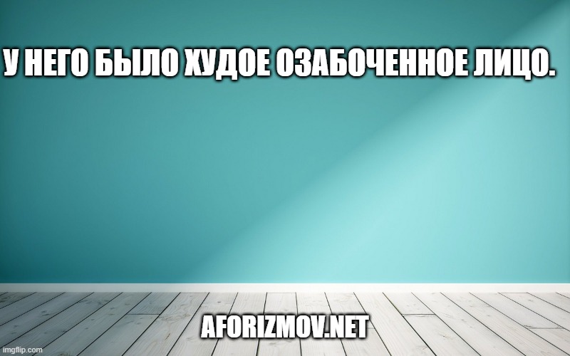 У него было худое озабоченное лицо.