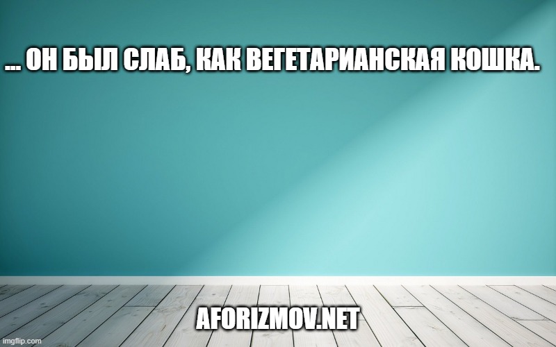 … он был слаб, как вегетарианская кошка.