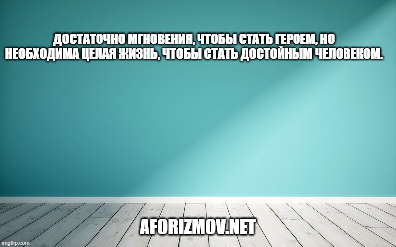 Достаточно мгновения, чтобы стать героем, но необходима целая жизнь, чтобы стать достойным человеком.