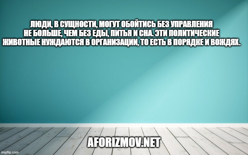 Люди, в сущности, могут обойтись без управления не больше, чем без еды, питья и сна. Эти политические животные нуждаются в организации, то есть в порядке и вождях.