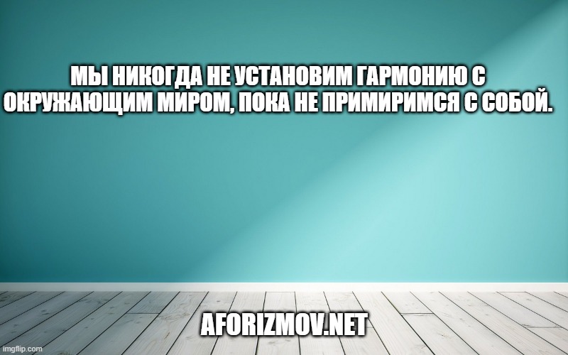 Мы никогда не установим гармонию с окружающим миром, пока не примиримся с собой.