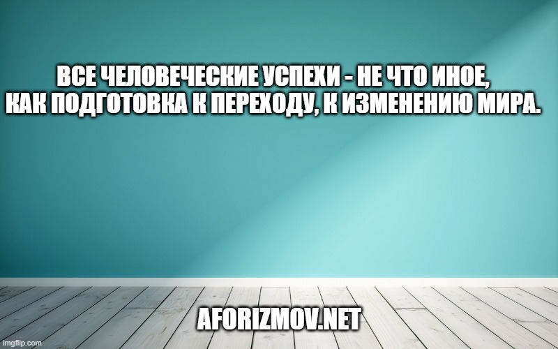Все человеческие успехи - не что иное, как подготовка к переходу, к изменению мира.