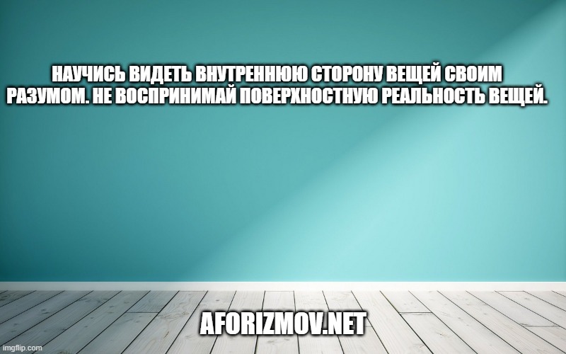 Научись видеть внутреннюю сторону вещей своим разумом. Не воспринимай поверхностную реальность вещей.