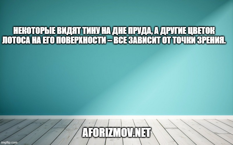 Некоторые видят тину на дне пруда, а другие цветок лотоса на его поверхности – все зависит от точки зрения.