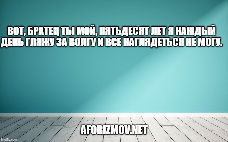 Вот, братец ты мой, пятьдесят лет я каждый день гляжу за Волгу и все наглядеться не могу.