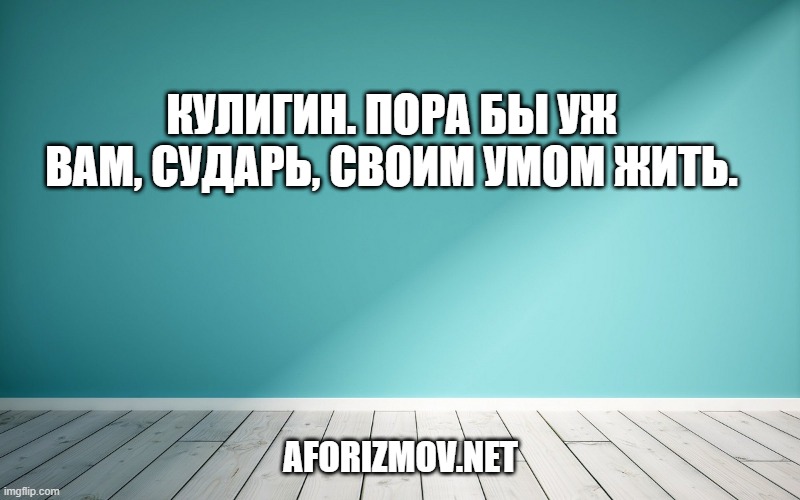 Кулигин. Пора бы уж вам, сударь, своим умом жить.