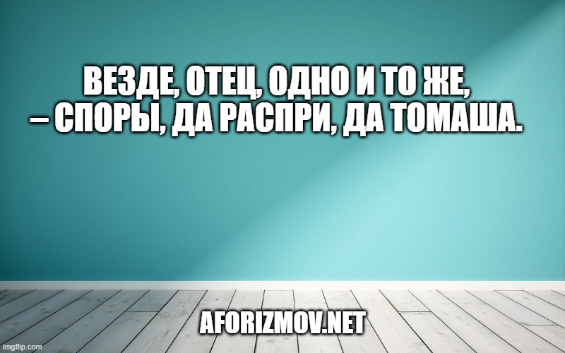 Везде, отец, одно и то же, – споры, да распри, да томаша.