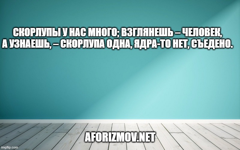 Скорлупы у нас много; взглянешь – человек, а узнаешь, – скорлупа одна, ядра-то нет, съедено.
